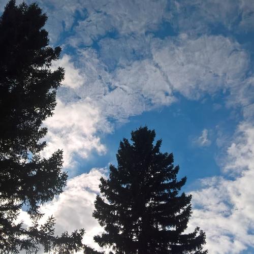 Photo #2619720