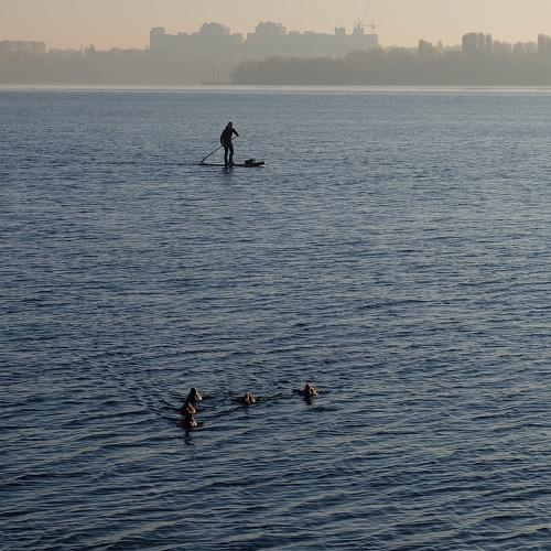 Photo #2620720