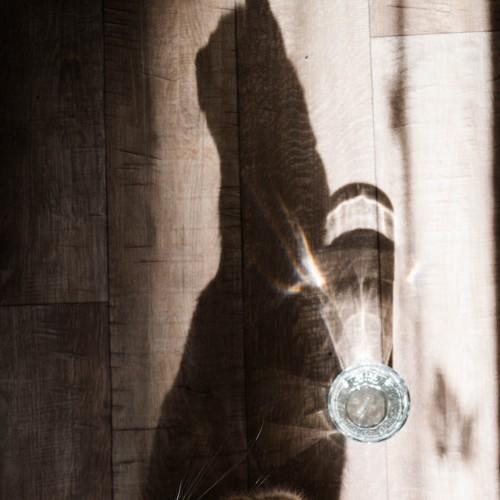 Light and shadow