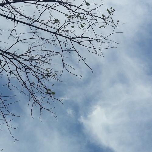 sky