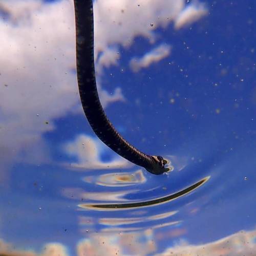 Photo #2629412