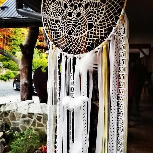 Photo #2630102