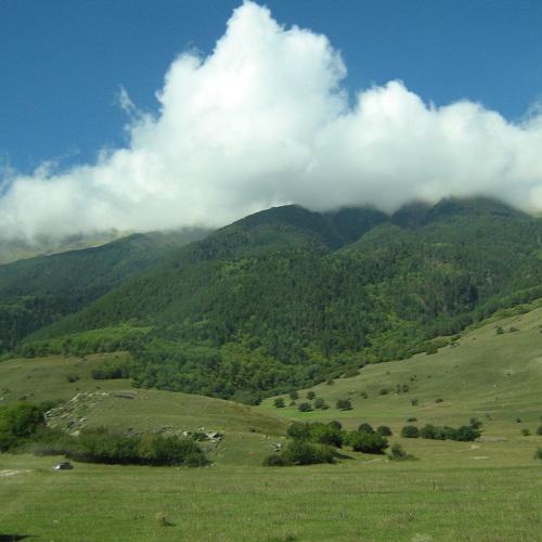 Photo #2630611