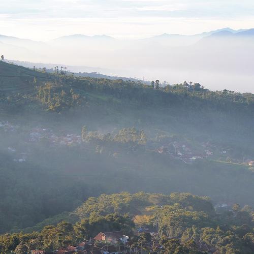 Panorama Hills Moko