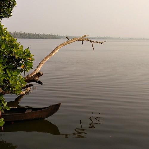 Solitude