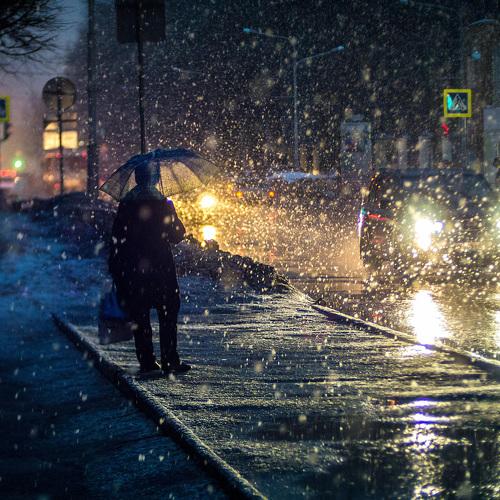 Photo #2632932