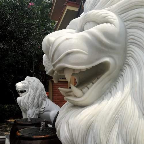 The Twin Lions of Cat Ba Island