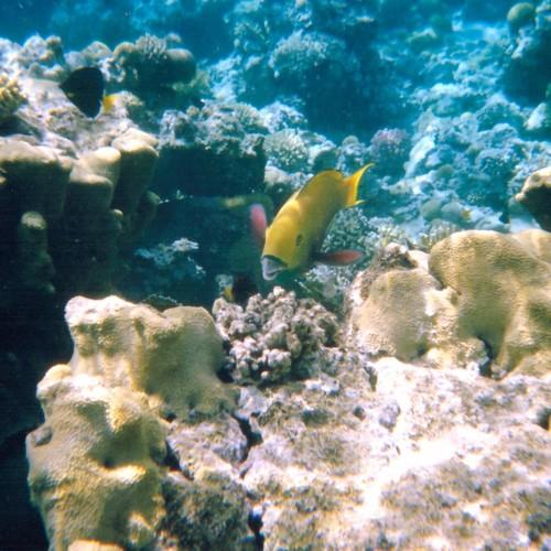 Photo #2637706