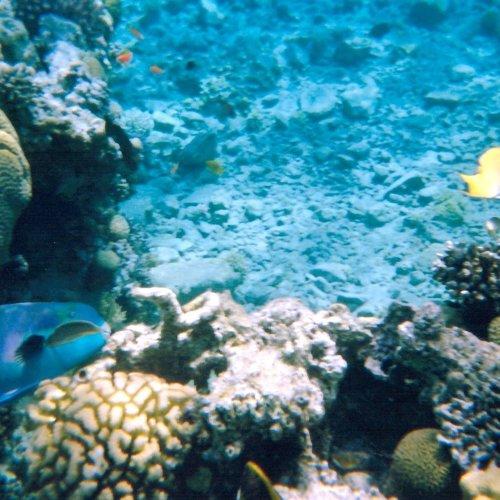 Photo #2637709