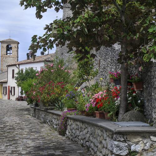 Photo #2638065