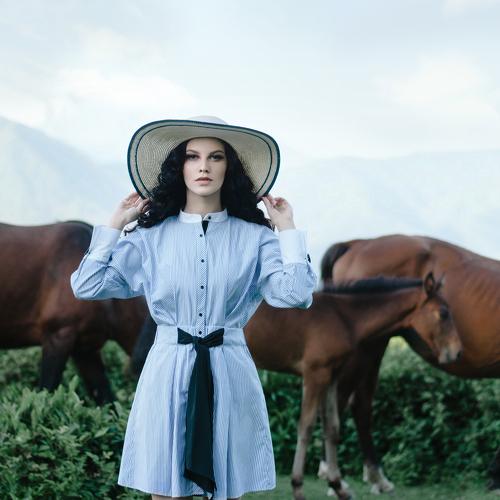 Horses