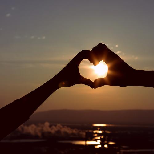 Photo #2639995