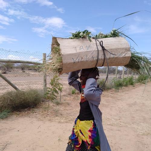 Changing lives and landscapes through Permaculture