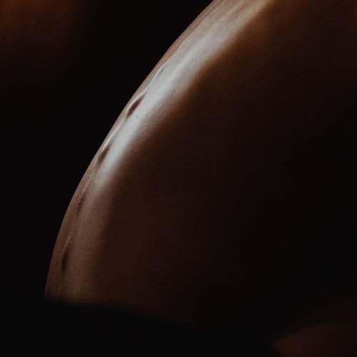 Photo #2645760