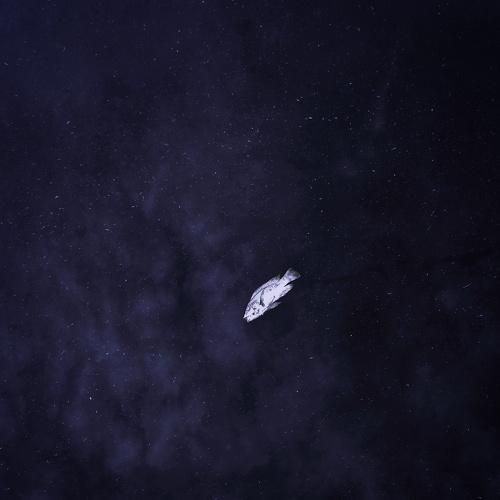 Cosmonaut