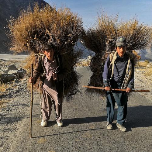 Life in greater karakorams