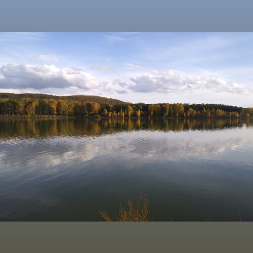 Парк