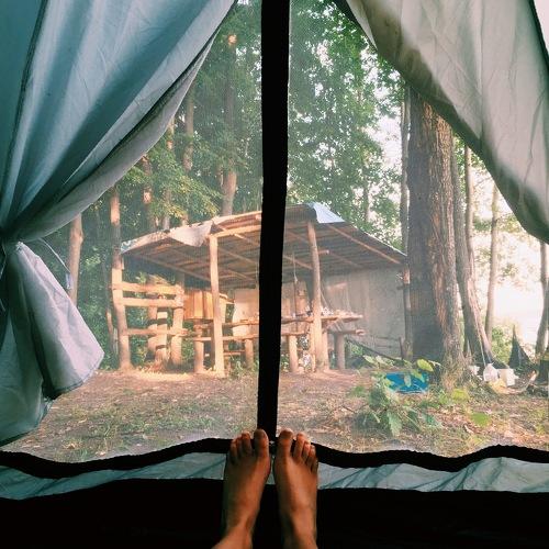 Photo #2647047