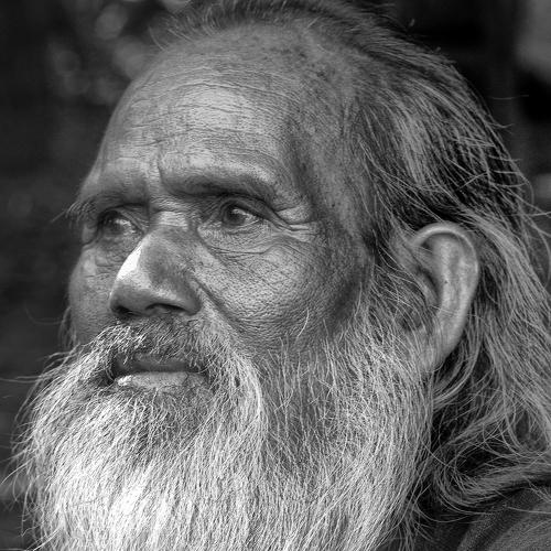 Old man in the forest.
