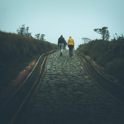 Nature Trail