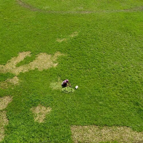 GRASS CUTTER