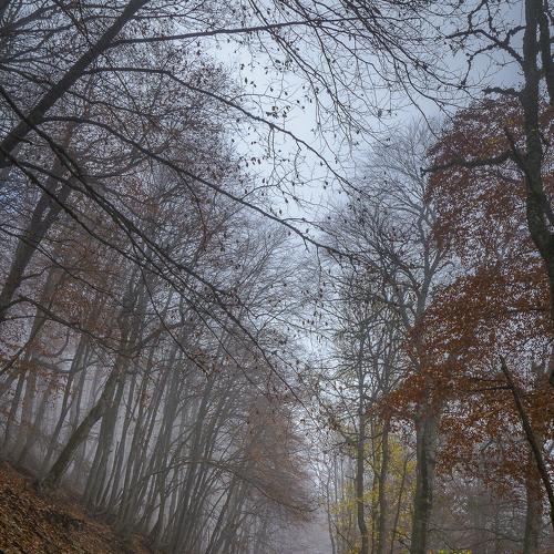 Заповедная дорога
