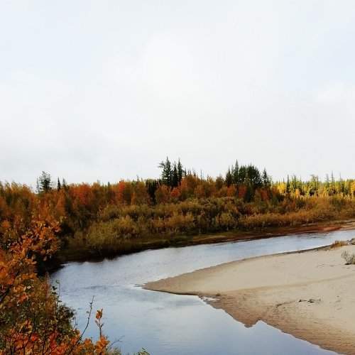 Photo #2650010