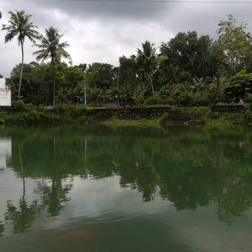 Pond