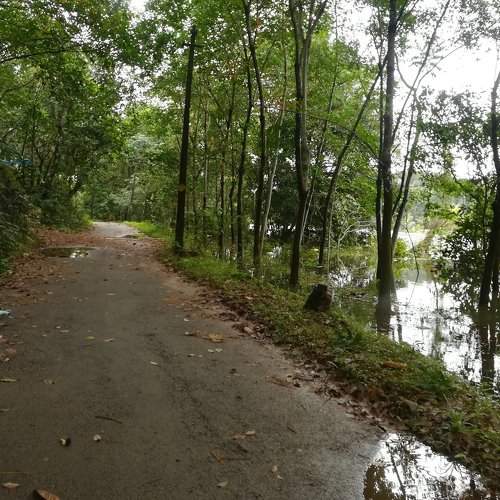 Kerala flood