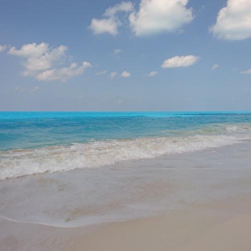 beach & sea in Egypt