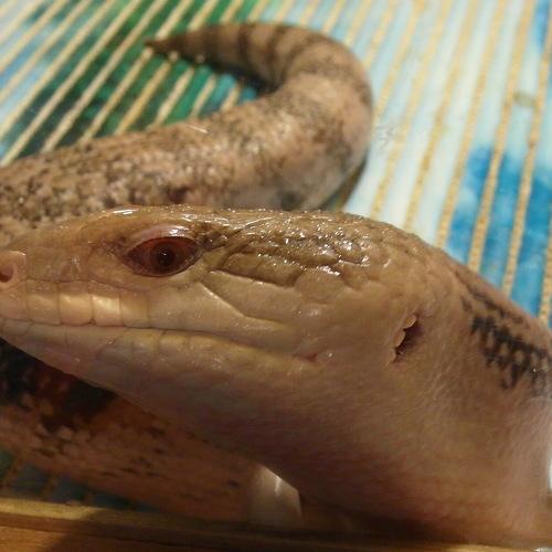 Photo #2650823