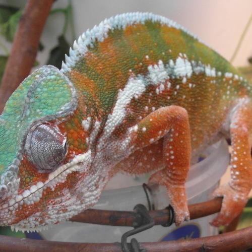 Photo #2650824
