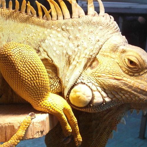 Photo #2650825