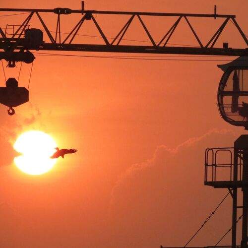 Every sunset brings new hope to fly high