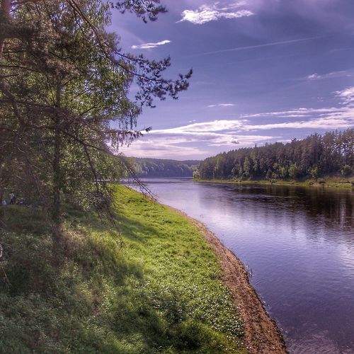 Beauty nature