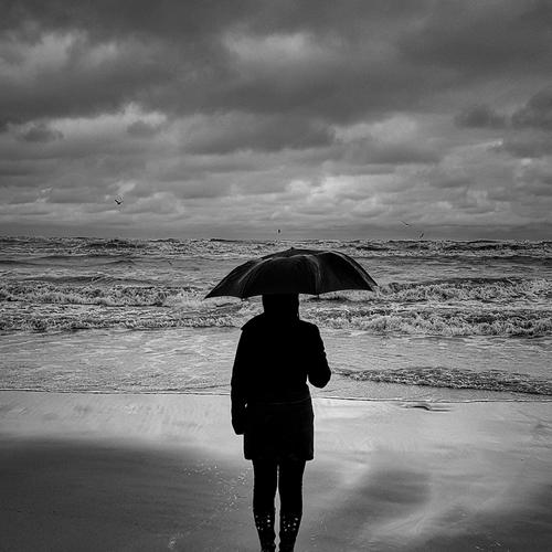 Rainy day