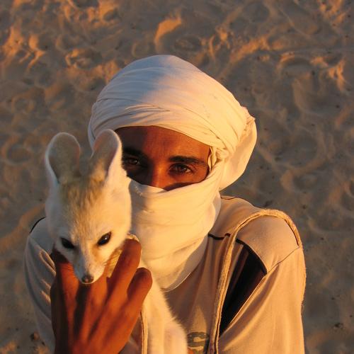 Photo #2653786