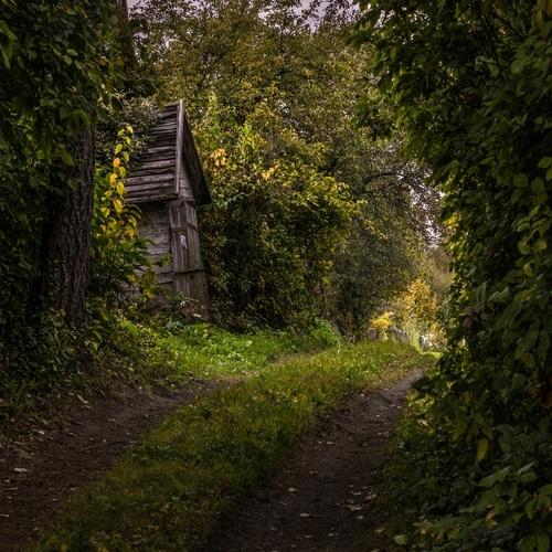 Fairy house