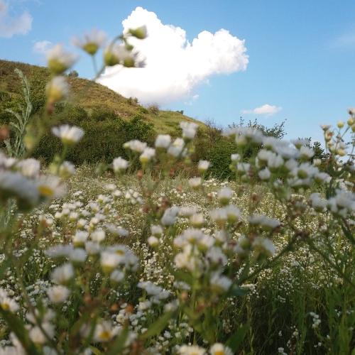Photo #2654952