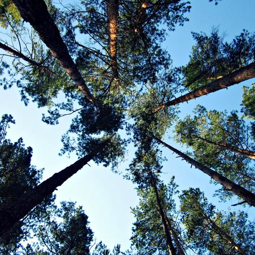 Photo #2655099