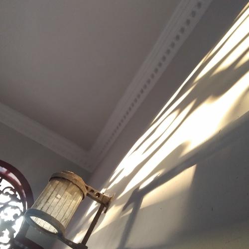 Sunlight