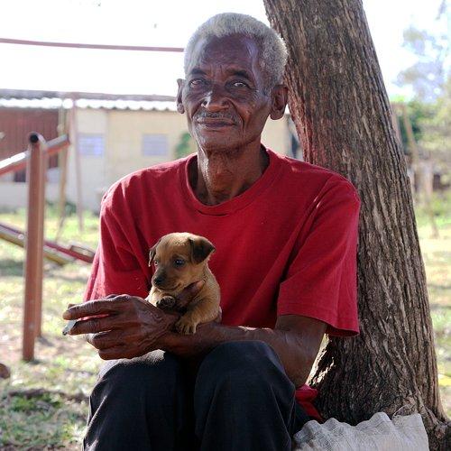 Photo #2656814