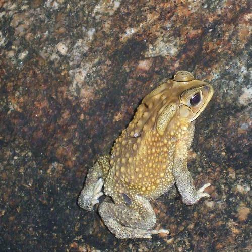 Photo #2657586