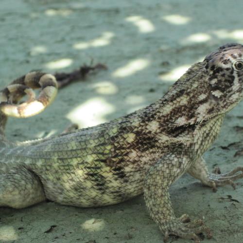 Photo #2657587