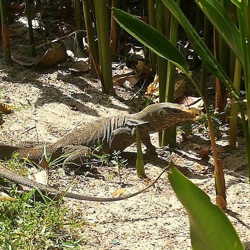 Photo #2657591