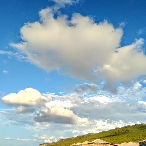 Thé perfection sky