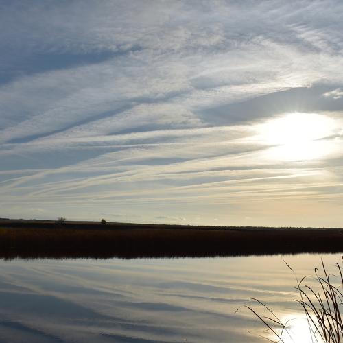 Photo #2663181