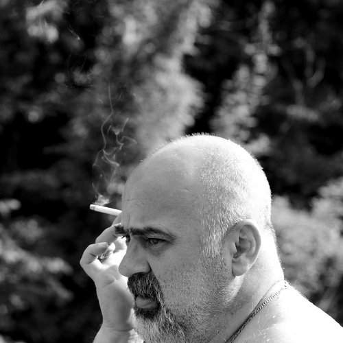 Photo #2663245