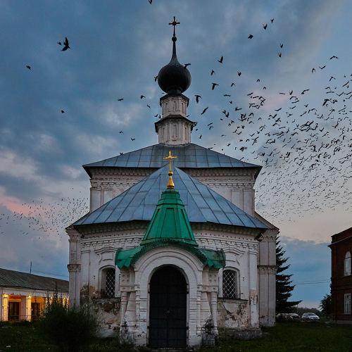 Фотография #2663725