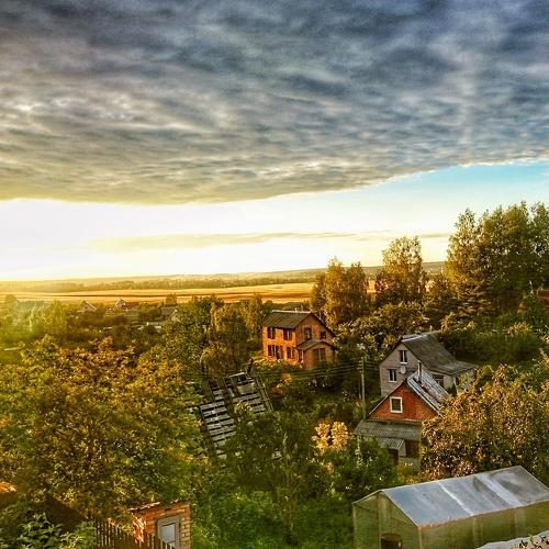 Утро за городом